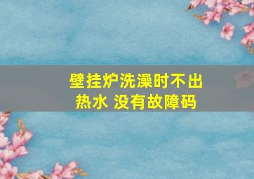 壁挂炉洗澡时不出热水 没有故障码